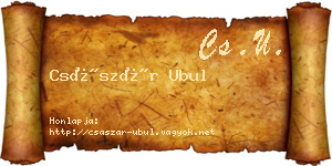 Császár Ubul névjegykártya